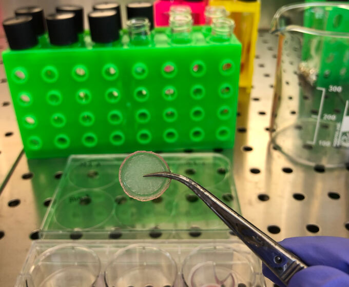 3-D model of human skin in the laboratory